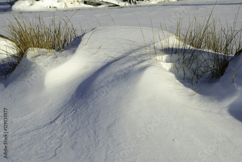 Marsh grass snow drift