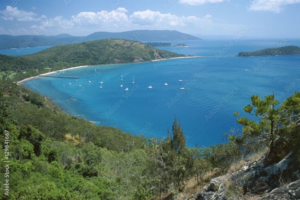 View over Bauer Bay, South Molle Island, Whitsundays, Queensland View over Bauer Bay, South Molle Island, Whitsundays, Queensland