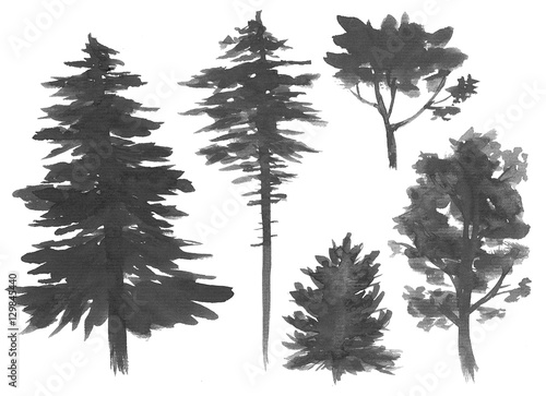 Silhouettes of trees  watercolor painting  isolated on white
