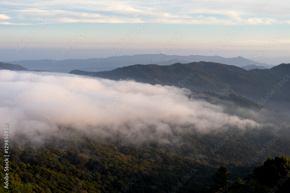 Fog flow at rain forest and mountain landscape
