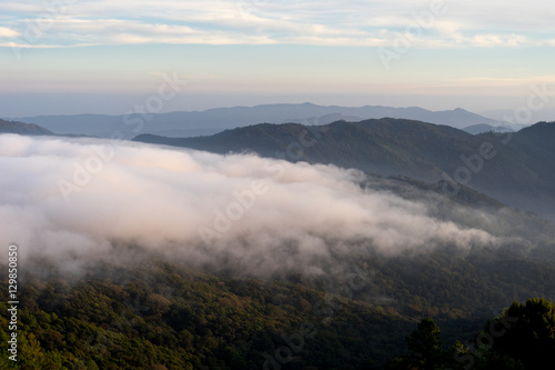 Fog flow at rain forest and mountain landscape