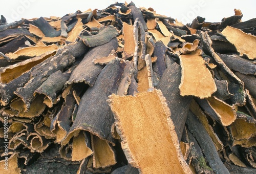 Cork bark for bottle corks stacked to dry near Tempio Pausania, island of Sardinia, Mediterranean