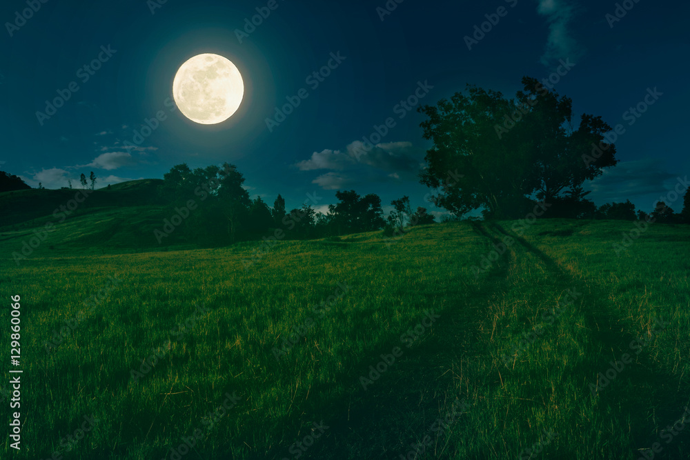 beautiful landscape of natural grass hill in full moon night. beautiful landscape of natural grass hill in full moon night.