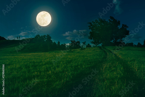 beautiful landscape of natural grass hill in full moon night.