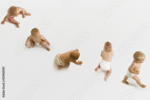 Row of babies sitting  crawling and walking on white background