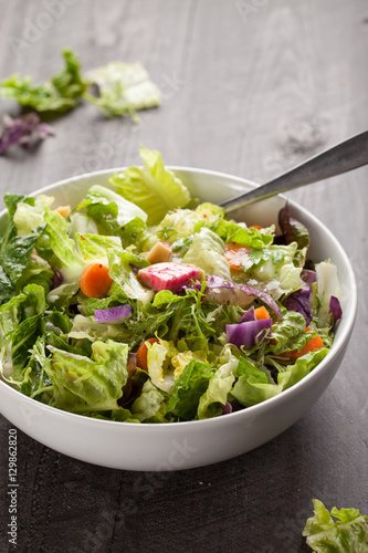 Принти на полотні Italian salad with freshly harvested organic vegetables including endive, red ca