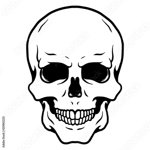 Skull Logo Vector
