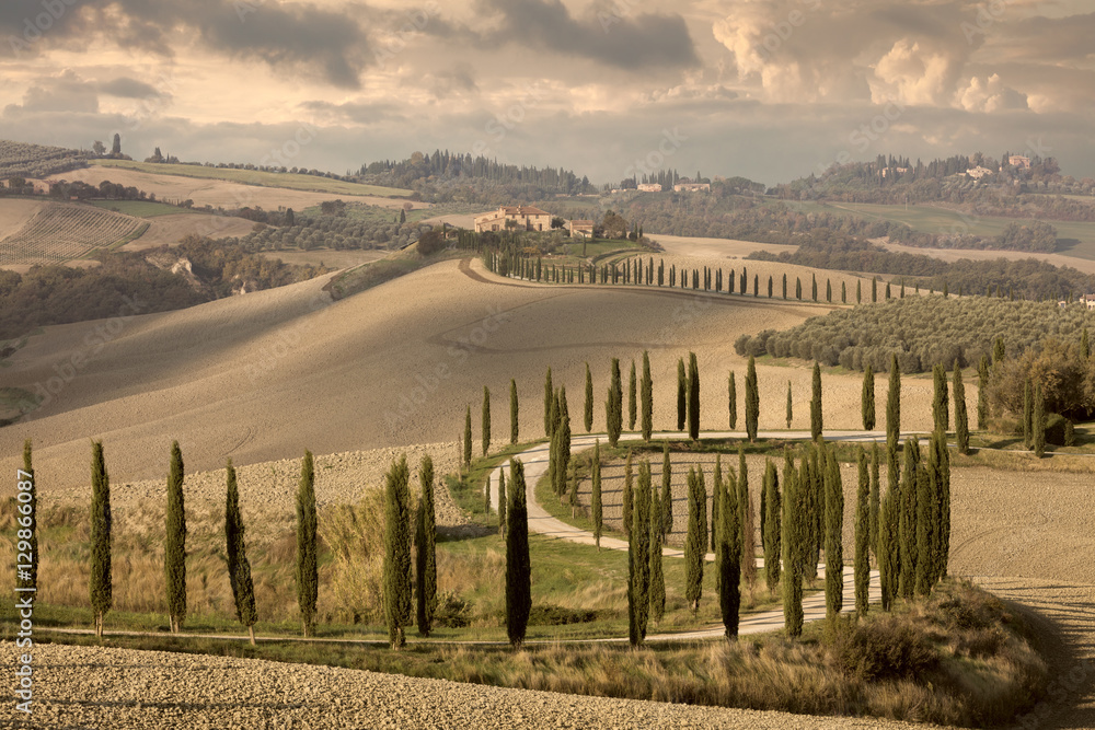 Landscape tipical Tuscany nature, vintage
