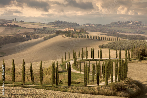 Landscape tipical Tuscany nature  vintage