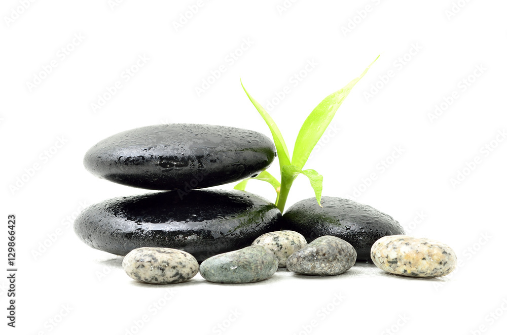 Zen stone with bamboo leaf on white background. Spa concept Zen stone with bamboo leaf on white background. Spa concept