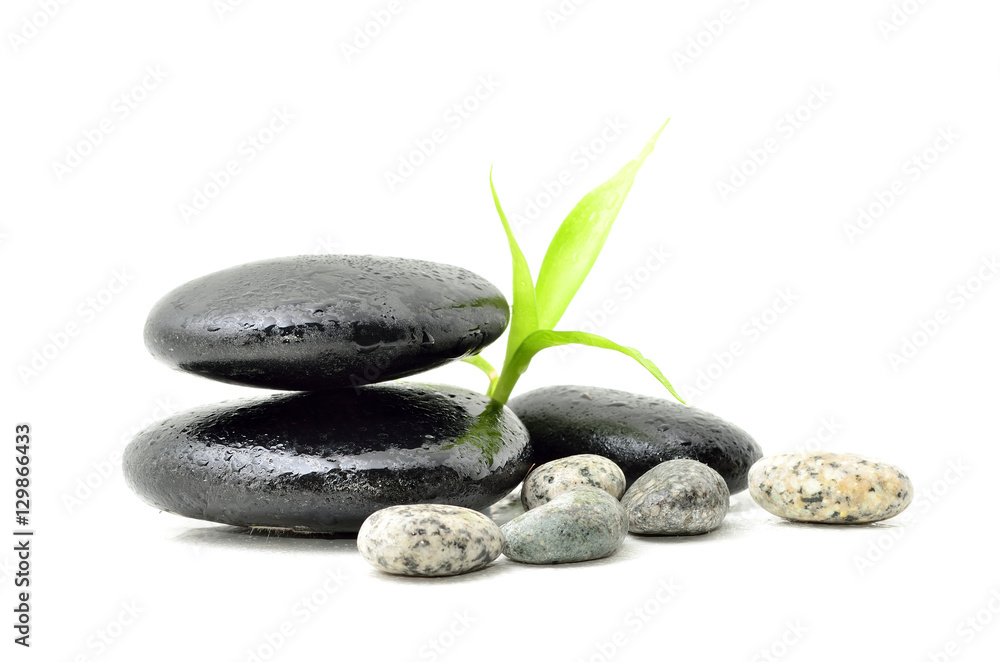 Zen stone with bamboo leaf on white background. Spa concept Zen stone with bamboo leaf on white background. Spa concept