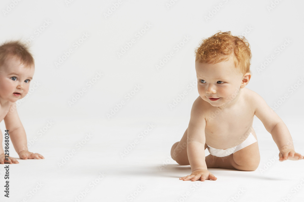 Cute babies crawling isolated on white background - obrazy, fototapety, plakaty 