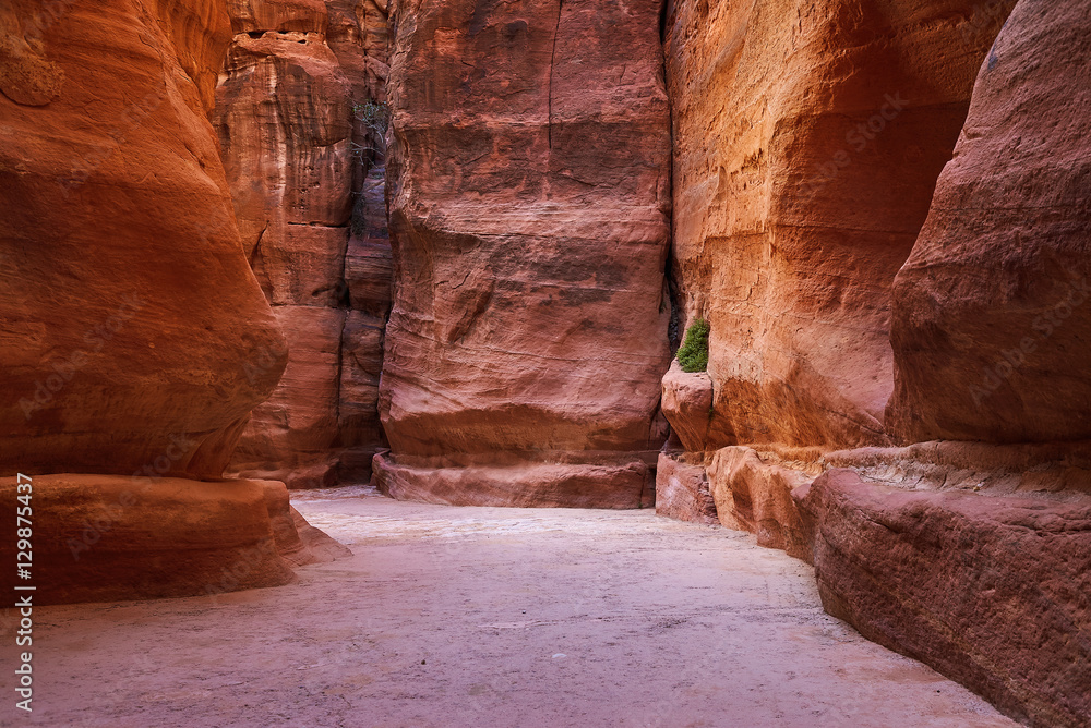 The Sig. Main entrance to the ancient city of Petra. Southern Jordan