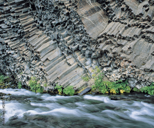 Fototapeta Naklejka Na Ścianę i Meble -  Plants and river at base of columnar basalt cliff