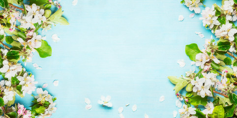 Springtime with Spring blossom twigs on blue turquoise background, top view, frame