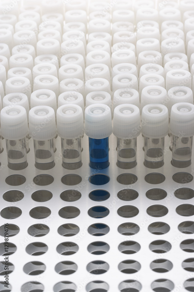 Blue test tube amongst empty test tubes Blue test tube amongst empty test tubes