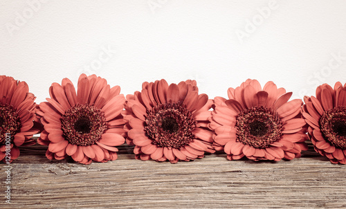 Fototapeta Naklejka Na Ścianę i Meble -  Vintage flowers background with Gerbera Daisies.