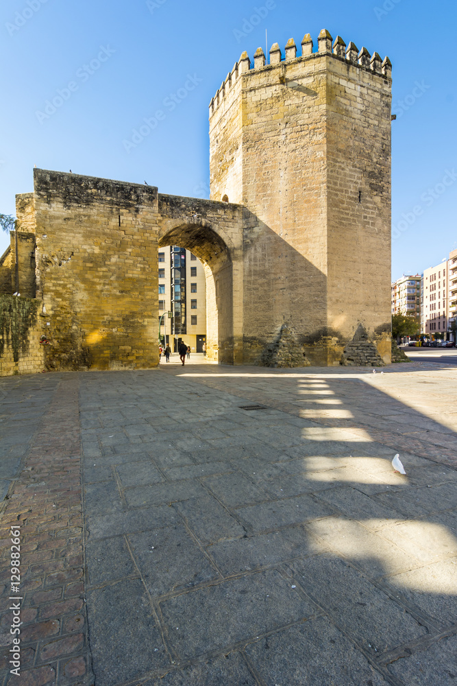 Torre de la Malmuerta, Cordoba, Andalusiz, Spain