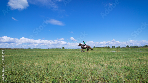 Young woman riding a horse on the green field