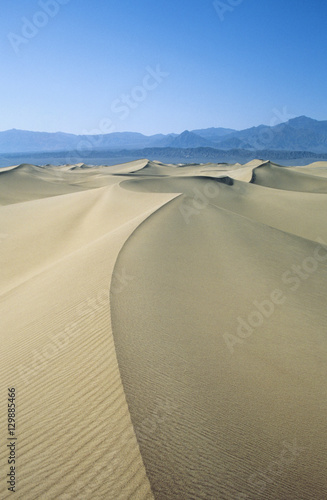 Ridge of sand dune