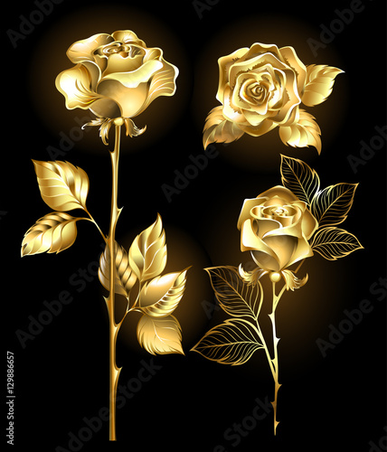 Set of Golden Roses