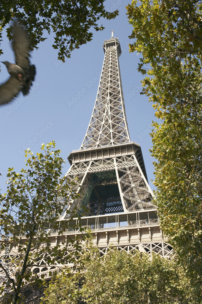 View of Eiffel tower through trees against blue sky at Paris, France