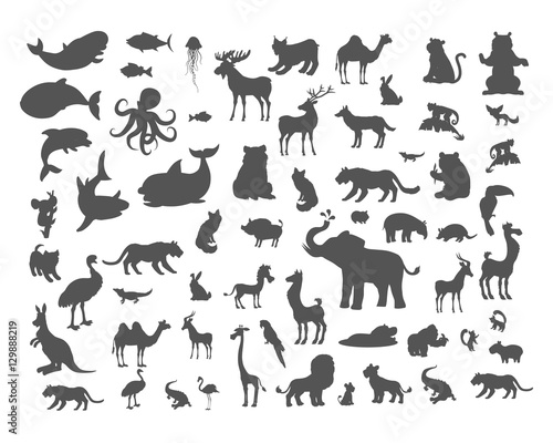 Mammals Birds Fish Reptiles Amphibias Bats Set.