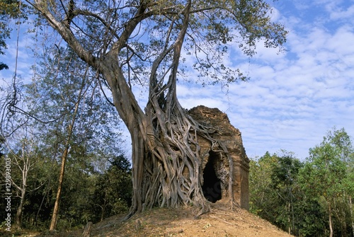 Pre-Ankorian site of Sambor Prei Kuk, Prasat Trapeang Ropaeak complex, Kompong Thom, Cambodia photo