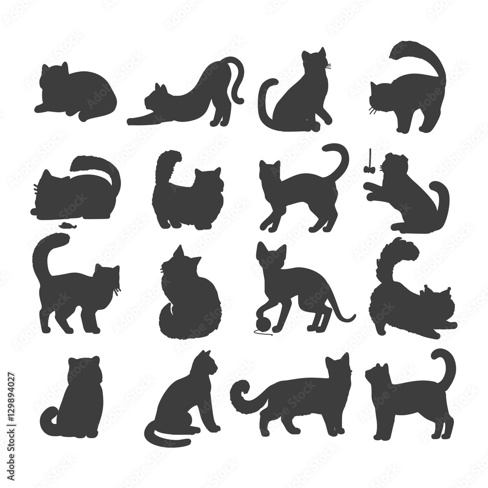 Set of Cats Vector Flat Design Illustration