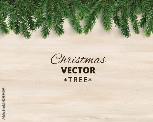 Christmas tree branches on wooden background, vector illustration