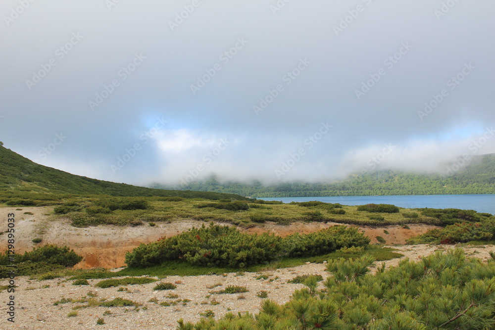 Fototapeta premium landscape