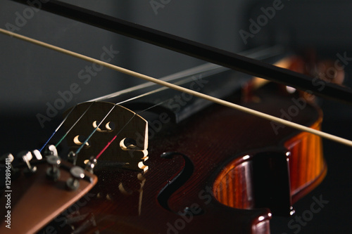 Electric violin isolated photo