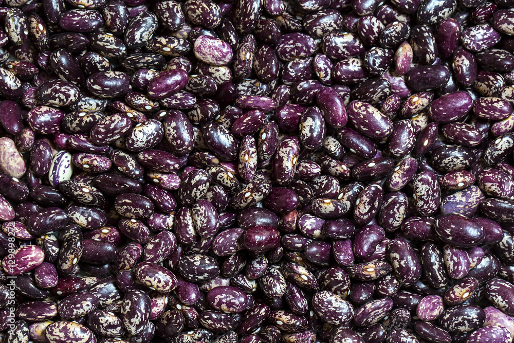 Background of raw beans close up shot Background of raw beans close up shot
