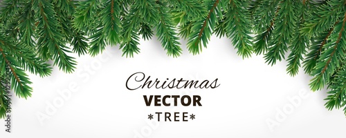 Banner with vector christmas tree branches and space for text.