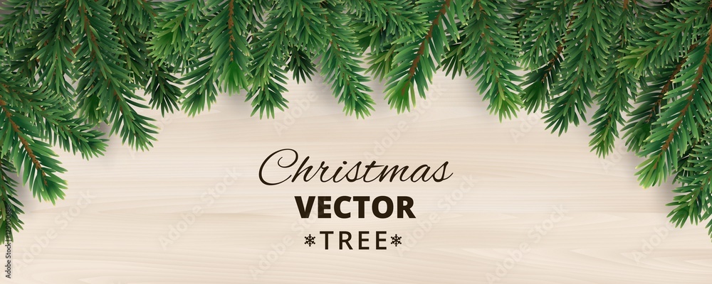 Fototapeta premium Banner with vector christmas tree branches on wooden background.