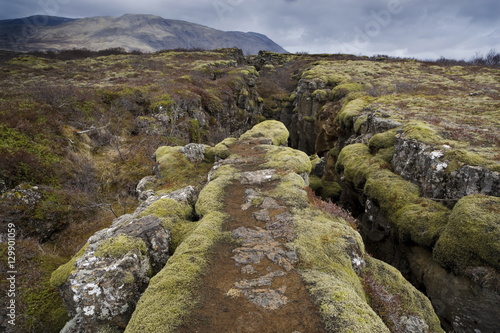 Fault in the landscape caused by continental drift between North American and Eurasian tectonic plates at Thingvellir National Park near Reykjavik, Iceland
