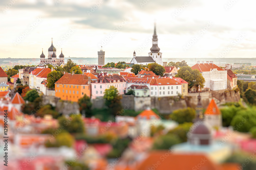 Obraz premium Aerial view from church tower on the old town of Tallinn on the sunset in Estonia. Image with tilt-shift lens effect