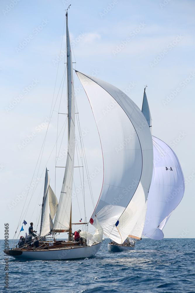 Obraz premium voiliers