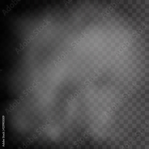 Realistic transparent Fog, Steam or Smoke. Vector format