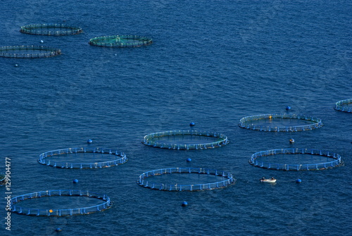 Fish farm, Costa Aguilera, Andalucia (Andalusia), Spain, Mediterranean photo