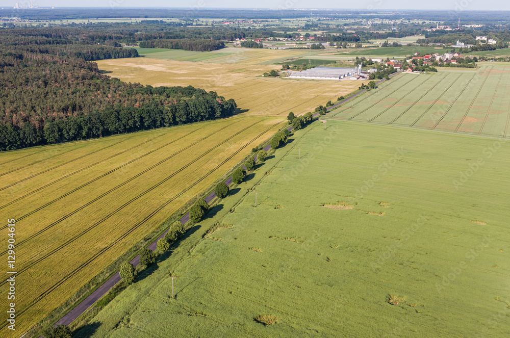 Fototapeta premium aerial view of the harvest fields