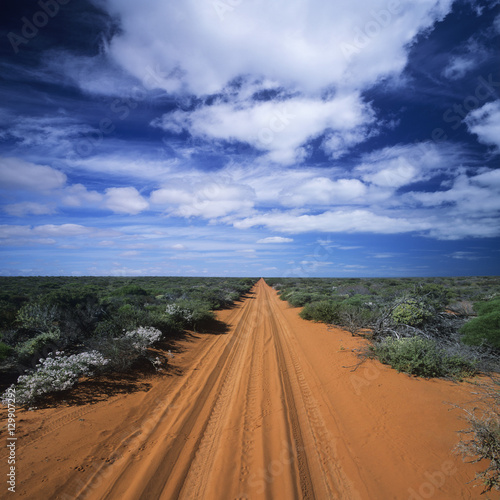 Rural Road in Vast Landscape