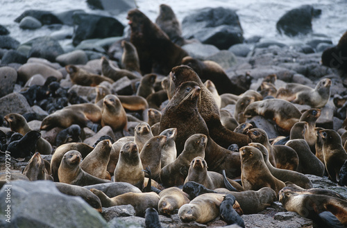 Canvas Print USA Alaska St