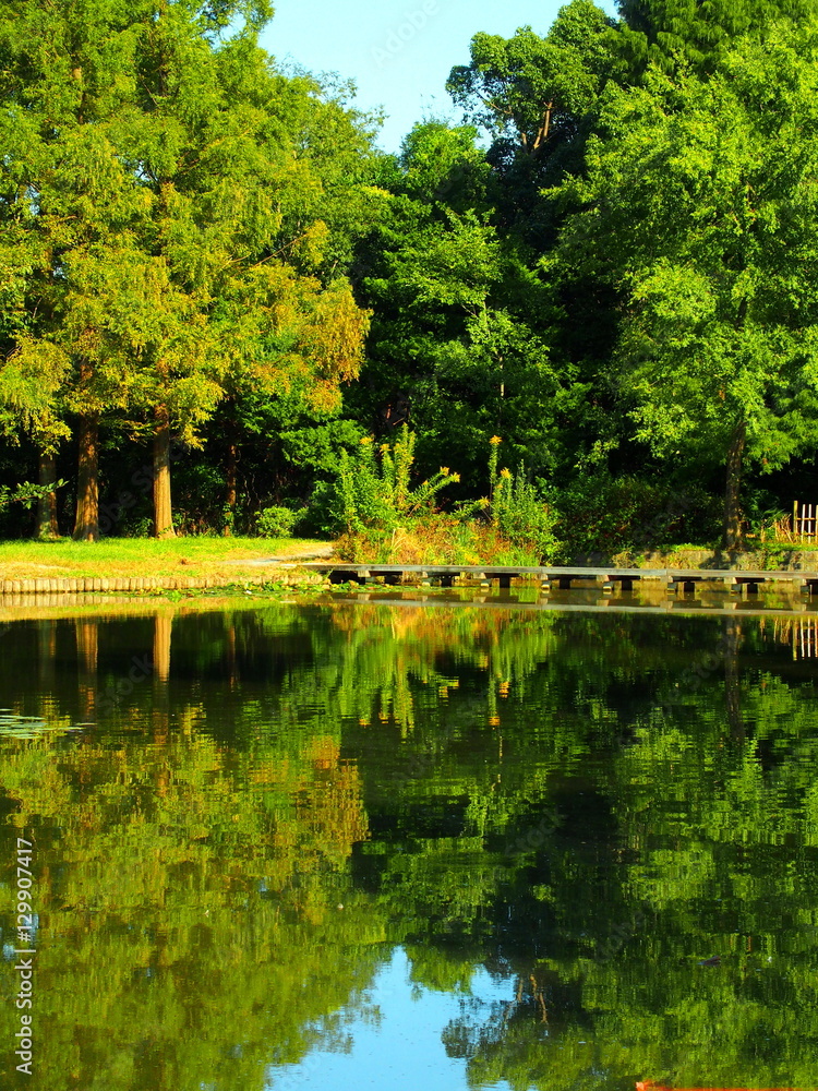 Obraz premium 秋の池畔風景