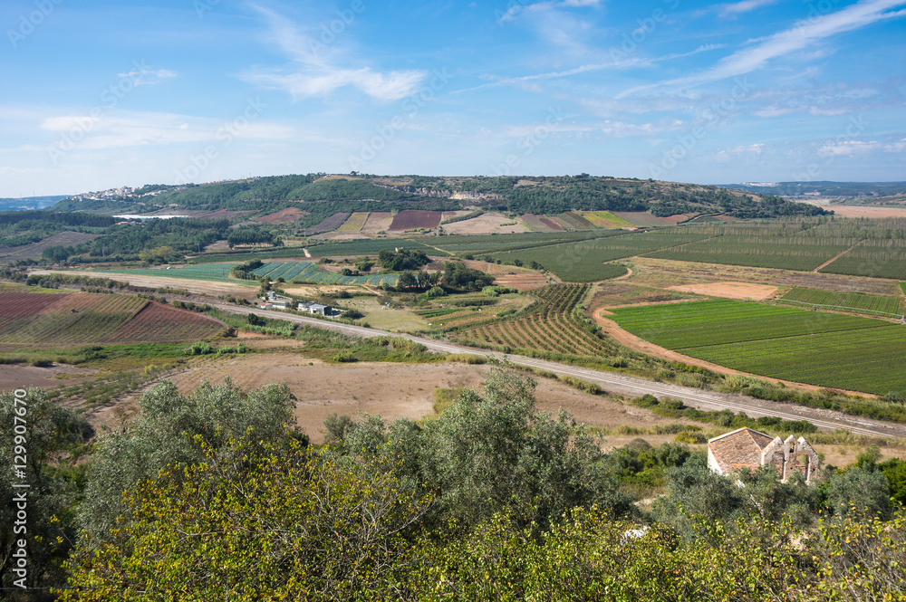 Fields of Portugal