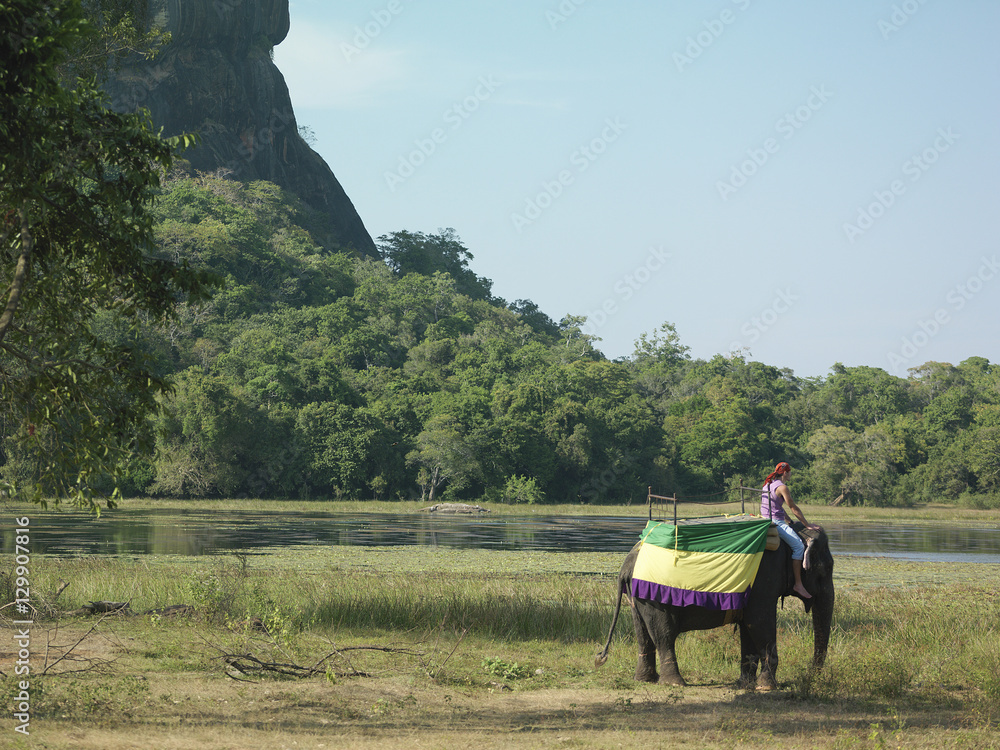 Obraz premium Side view of a young man riding on elephant by the lake