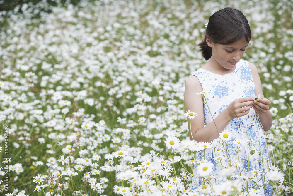 Little young girl standing in meadow full of flowers Little young girl standing in meadow full of flowers