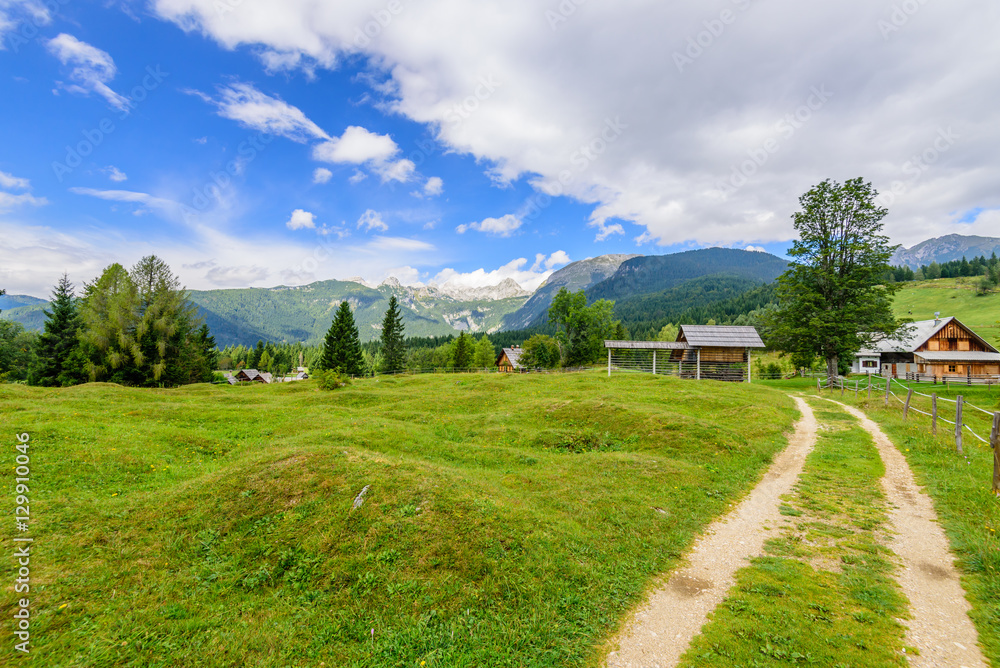 The picturesque Alpine landscape. Triglav national Park, Bohinj, Slovenia