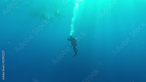 Wallpaper Mural Diving in the red sea a group of divers submerged. Torontodigital.ca