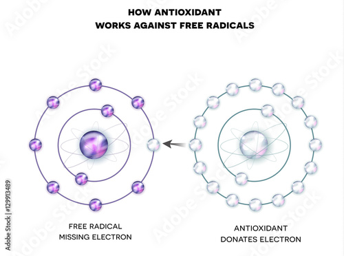 How antioxidant works against free radicals. Antioxidant donates missing electron to Free radical, now all electrons are paired. photo
